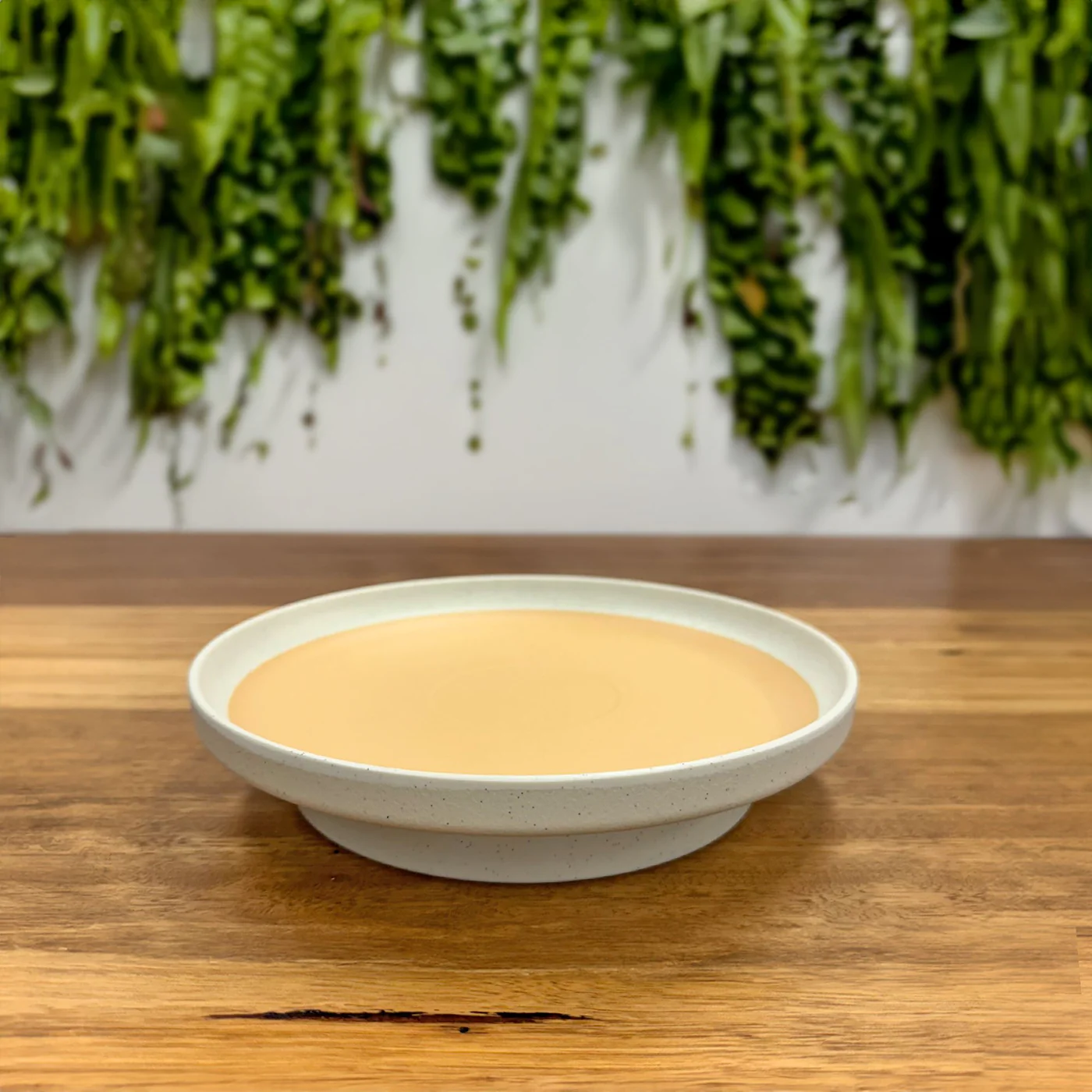 MELAMINE EIRTH BISCOTTI BEIGE PLATE 180MM